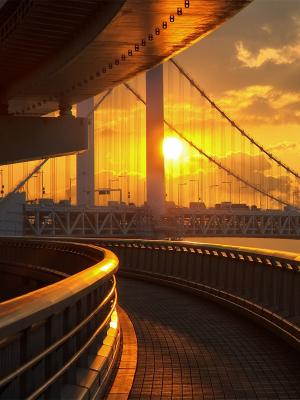 东京桥梁手机壁纸