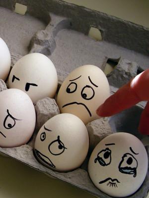鸡蛋幽默手机壁纸