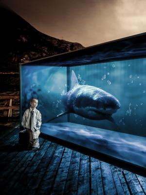 超现实的鲨鱼男孩手机壁纸
