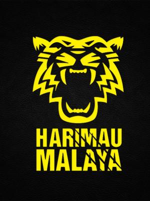 马来西亚国家足球队手机壁纸