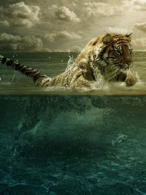 老虎玩水动态壁纸