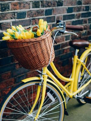 自行车花黄色手机壁纸