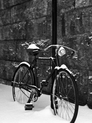 自行車在雪地移動壁紙