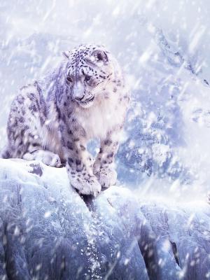 雪移動墻紙的豹子