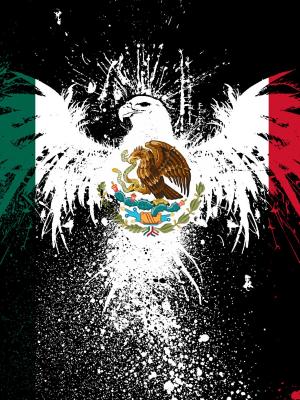 墨西哥国旗手机壁纸