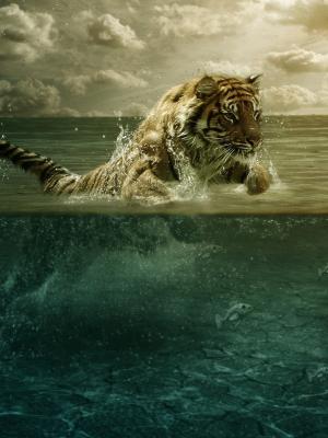 老虎玩水动态壁纸