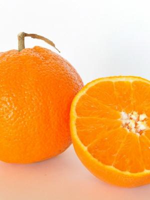 橙色水果手機壁紙