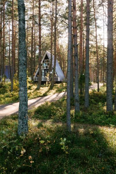 清晨藏在森林里的小木屋