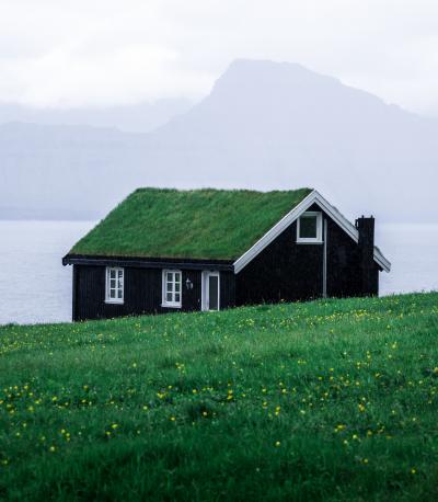 湖边的小木屋上长满绿色小草