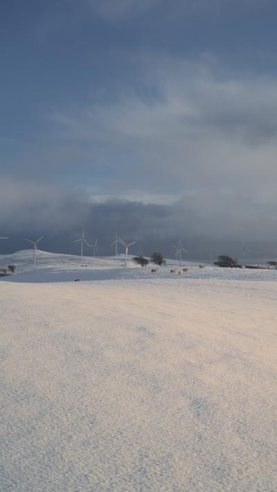 雪地上的风力发电机