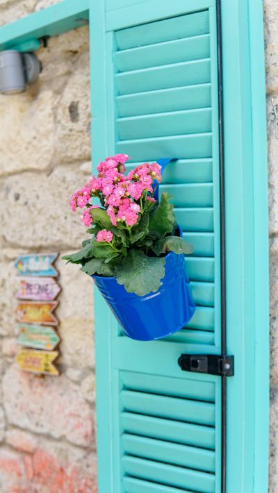 挂在蓝色小门上的红色鲜花