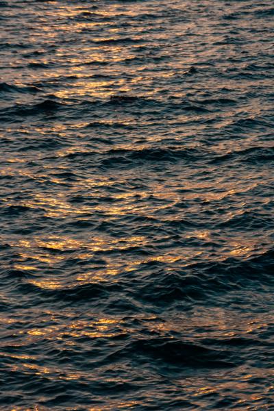 夕阳的光照在海面上