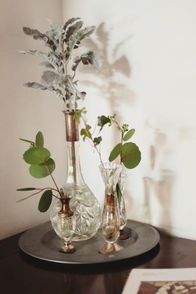墙角花瓶里的一抹绿色植物