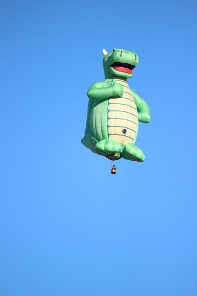 天空里的绿色小牛热气球