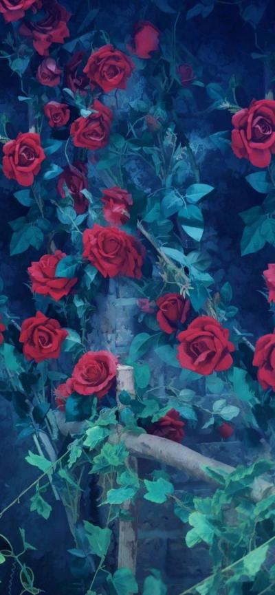 花墻上鮮艷的紅玫瑰壁紙