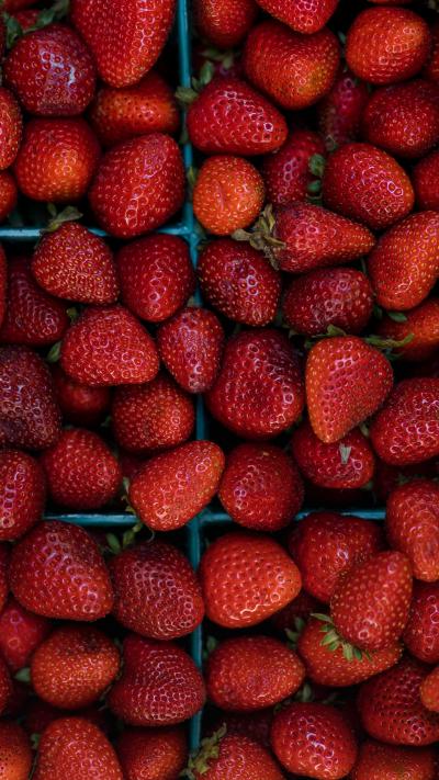 新鲜草莓又红又大水果图片