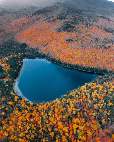 秋天被黄色大树围绕的湖泊