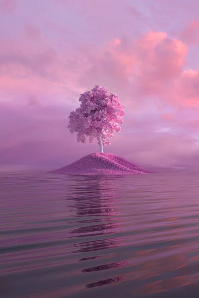 水面上粉红色孤岛和粉色花树