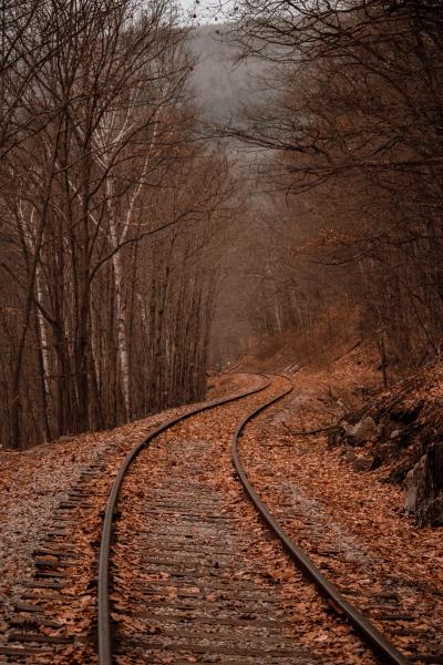 秋天铺满落叶的铁轨
