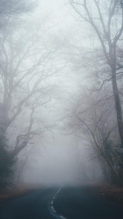 森林小路云雾缭绕