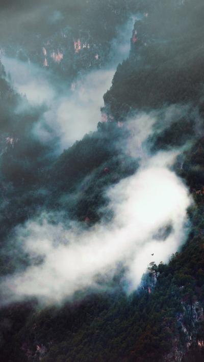 大山森林云雾缭绕图片