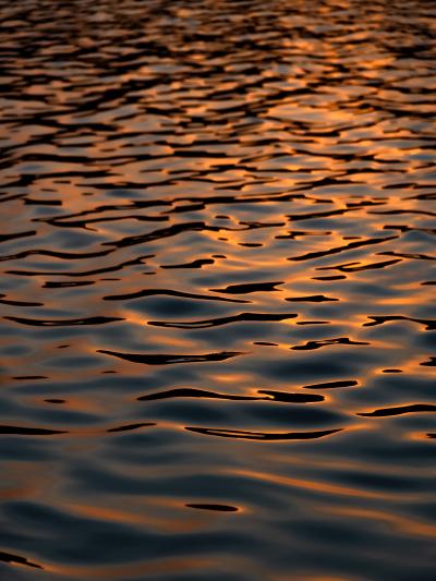 水面在夕阳的照耀下金光闪闪
