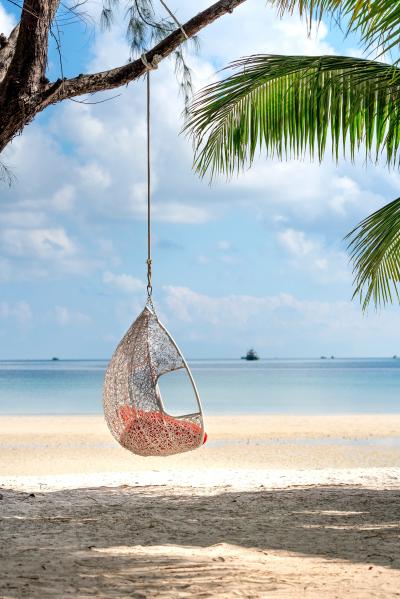 海边椰子树上的吊椅