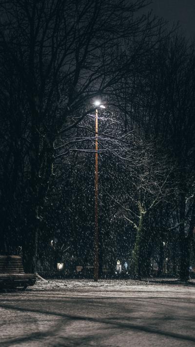 下雪夜晚的路灯图片唯美