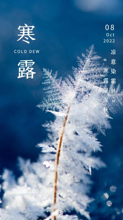 2022年寒露节气树枝结霜图片
