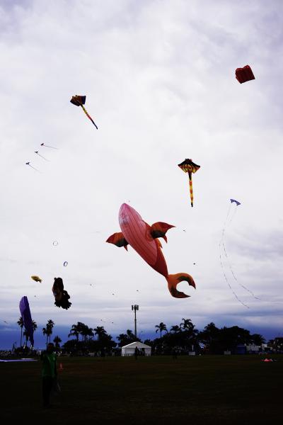 风筝节造型各异的风筝图片