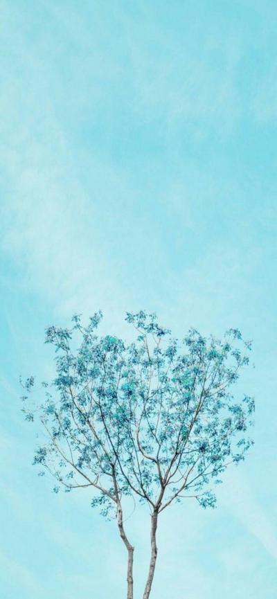 天空下的一颗蓝色大树